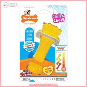 Nylabone Puppy Chew Freezer Toy