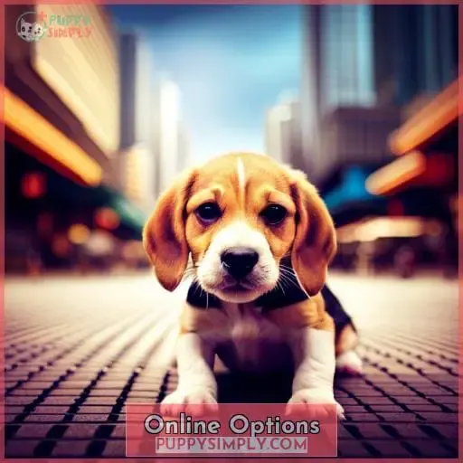 Online Options