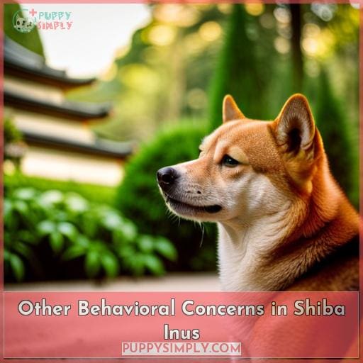 Other Behavioral Concerns in Shiba Inus