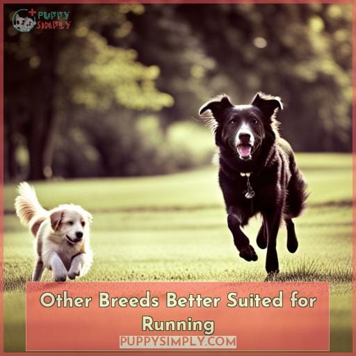 Other Breeds Better Suited for Running