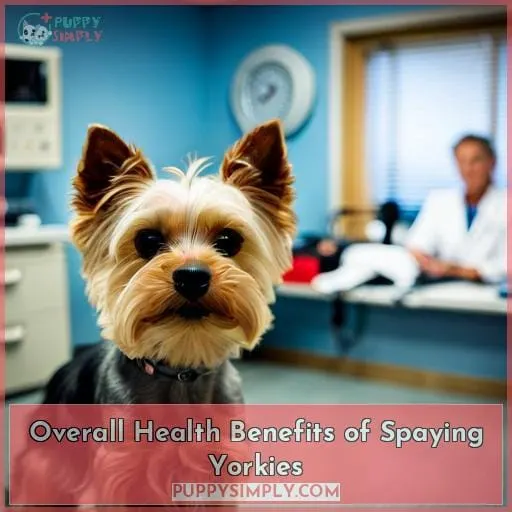 Overall Health Benefits of Spaying Yorkies