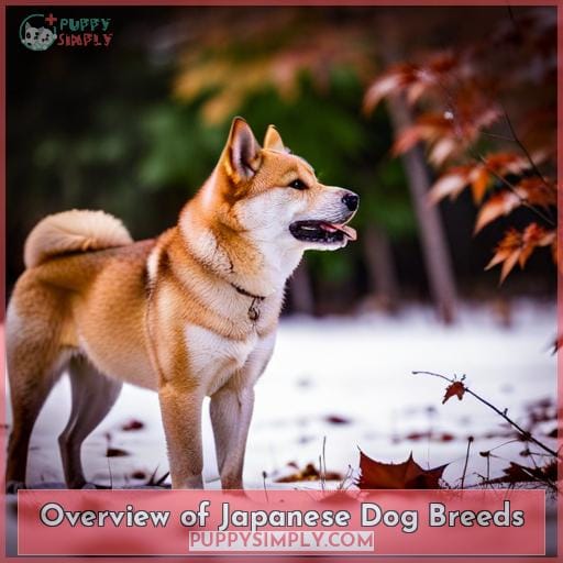 Overview of Japanese Dog Breeds