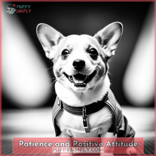 Patience and Positive Attitude