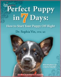 Perfect Puppy in 7 Days: B005FR0OEA