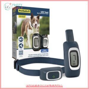 PetSafe Remote Trainer Dog Collar 668526
