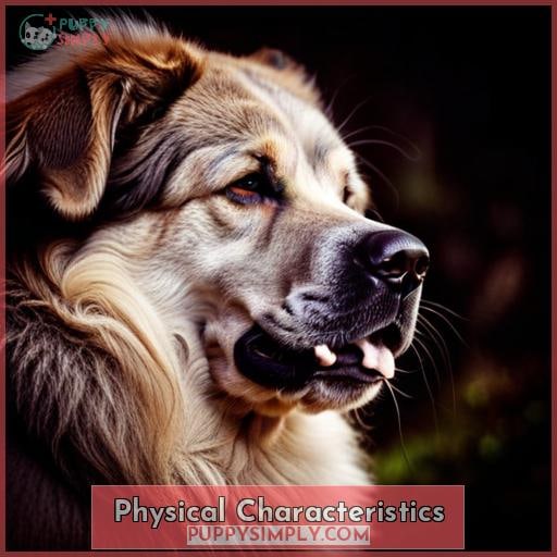 Physical Characteristics