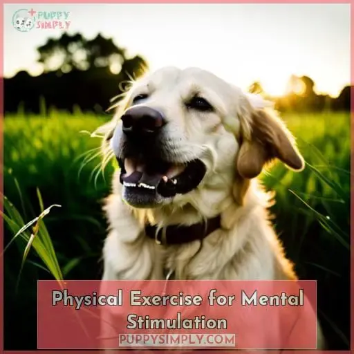 Physical Exercise for Mental Stimulation