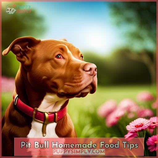 Pit Bull Homemade Food Tips