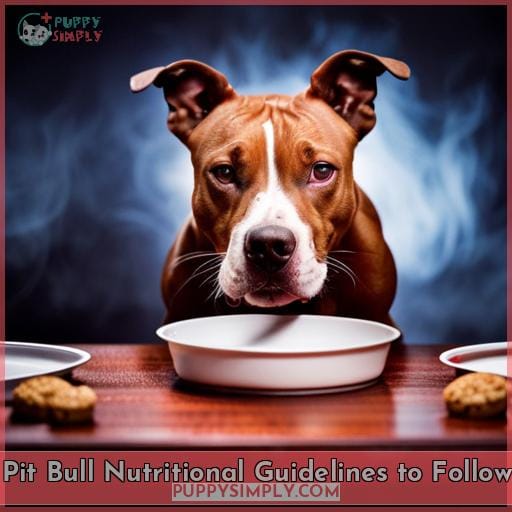Pit Bull Nutritional Guidelines to Follow