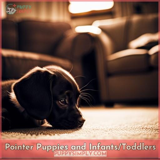 Pointer Puppies and Infants/Toddlers