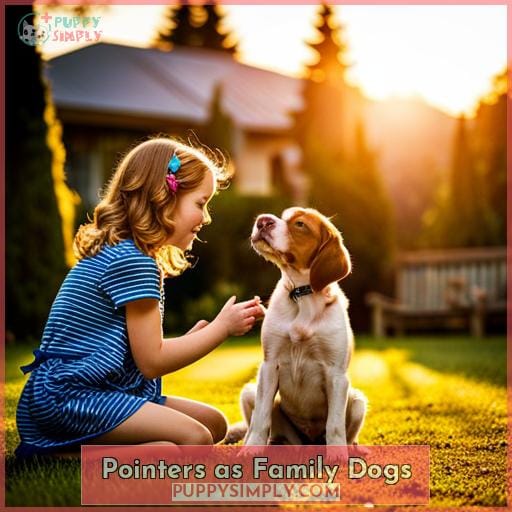 Pointers as Family Dogs