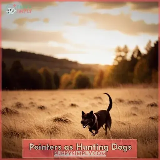 Pointers as Hunting Dogs