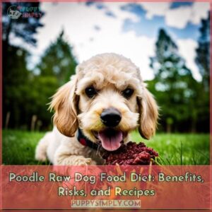 poodle raw dog food diet