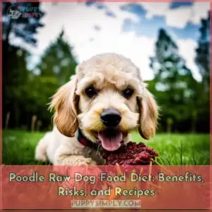 poodle raw dog food diet