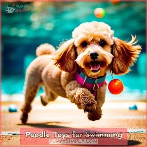 Poodle Toys for Swimming