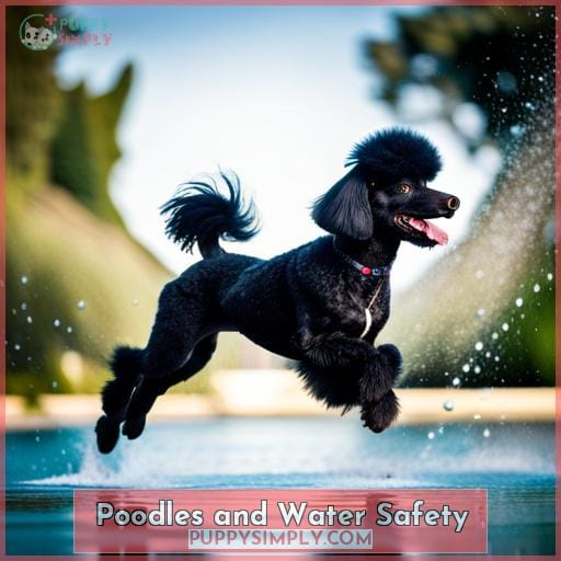 Poodles and Water Safety