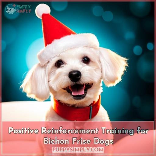 Positive Reinforcement Training for Bichon Frise Dogs