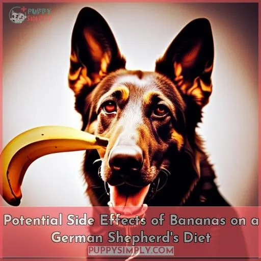 Potential Side Effects of Bananas on a German Shepherd