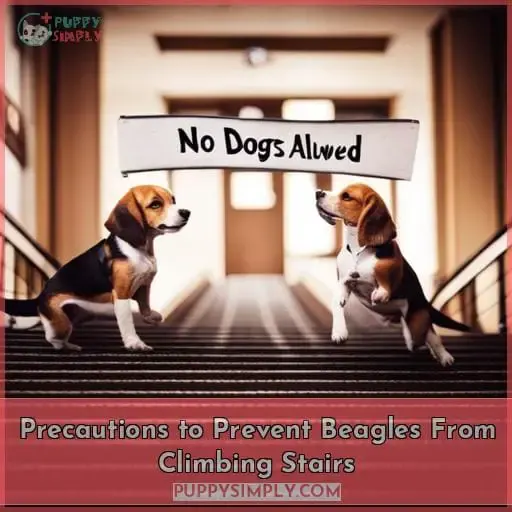 Precautions to Prevent Beagles From Climbing Stairs
