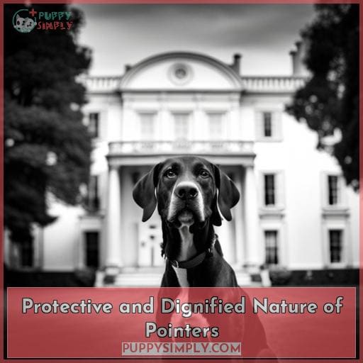 Protective and Dignified Nature of Pointers