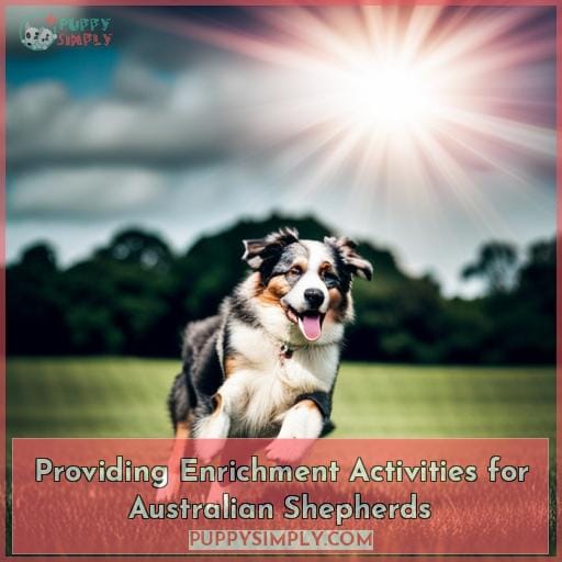 Providing Enrichment Activities for Australian Shepherds