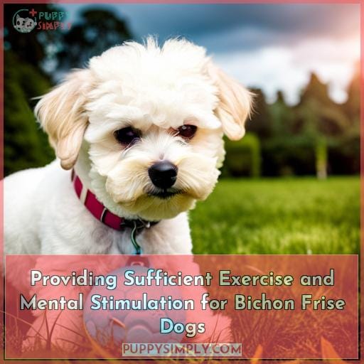 Providing Sufficient Exercise and Mental Stimulation for Bichon Frise Dogs