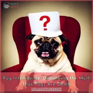 pug intelligence are they really dumb like some people say
