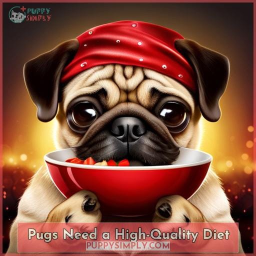 Pugs Need a High-Quality Diet