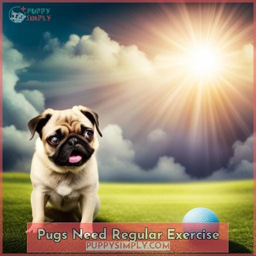 Pugs Need Regular Exercise