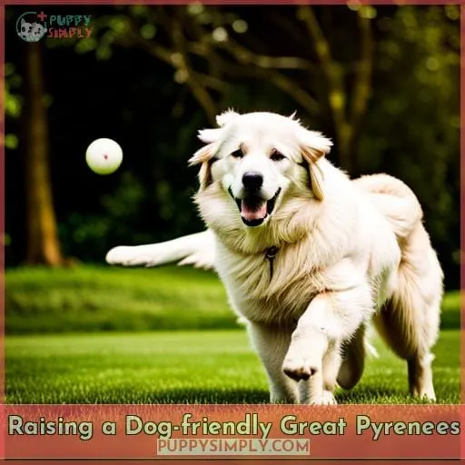 Raising a Dog-friendly Great Pyrenees