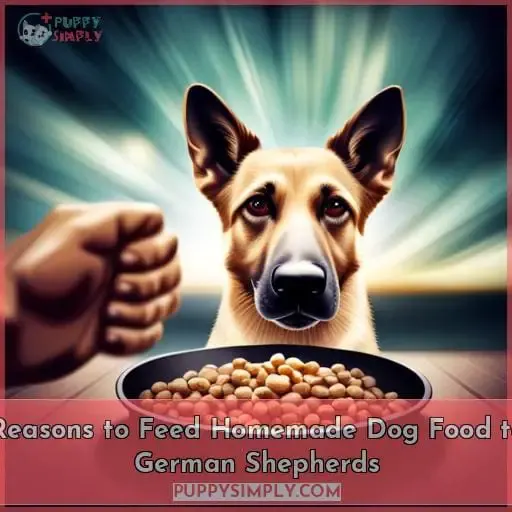 Reasons to Feed Homemade Dog Food to German Shepherds
