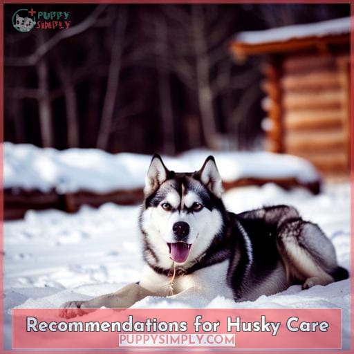 Recommendations for Husky Care