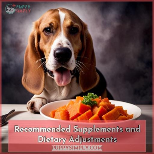 Recommended Supplements and Dietary Adjustments