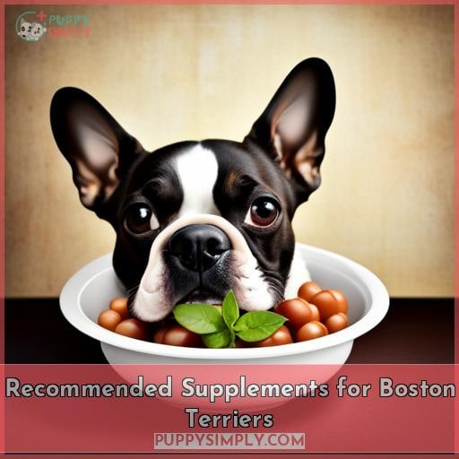 Recommended Supplements for Boston Terriers