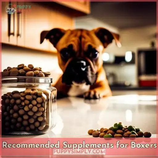 Recommended Supplements for Boxers