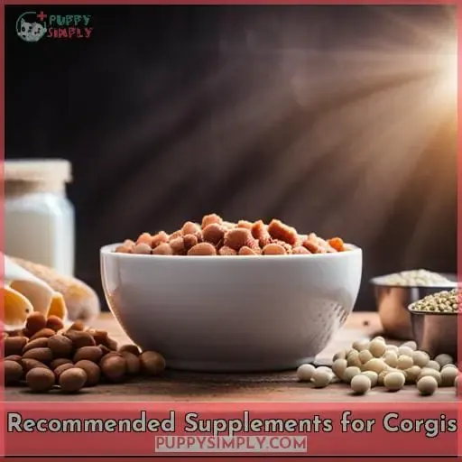 Recommended Supplements for Corgis