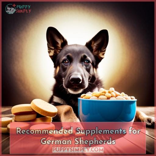 Recommended Supplements for German Shepherds