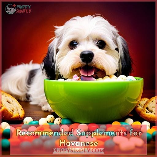 Recommended Supplements for Havanese