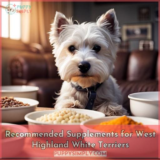 Recommended Supplements for West Highland White Terriers