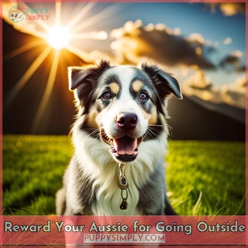 Reward Your Aussie for Going Outside