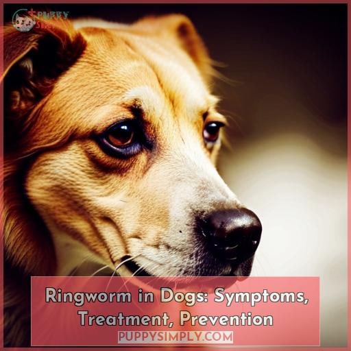 Ringworm in Dogs: Symptoms, Treatment, Prevention