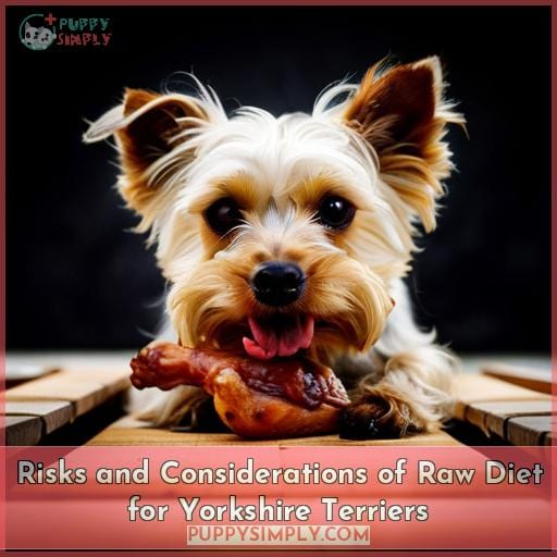Risks and Considerations of Raw Diet for Yorkshire Terriers