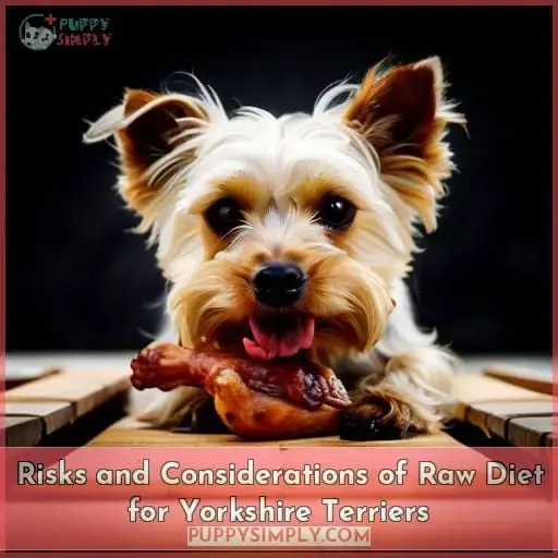 Risks and Considerations of Raw Diet for Yorkshire Terriers