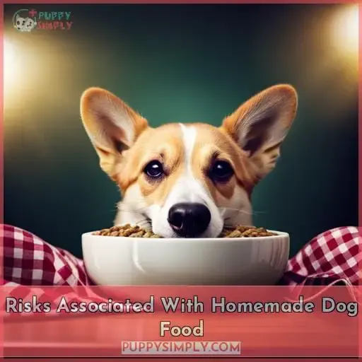 Risks Associated With Homemade Dog Food