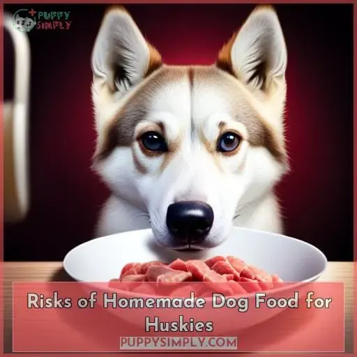 Risks of Homemade Dog Food for Huskies