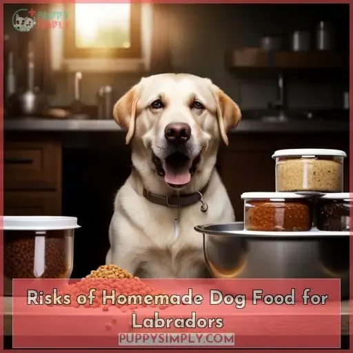 Risks of Homemade Dog Food for Labradors