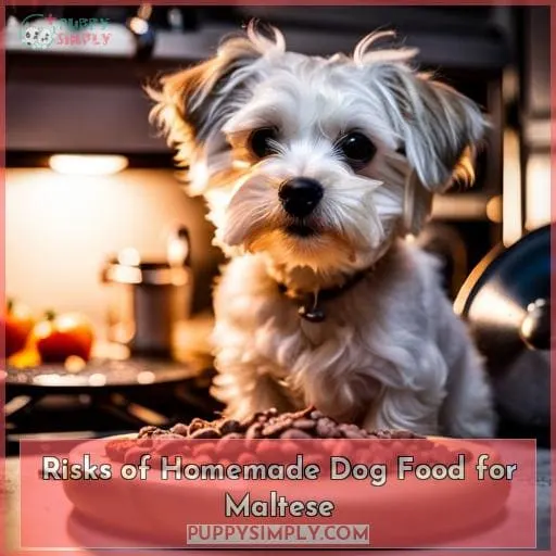 Risks of Homemade Dog Food for Maltese