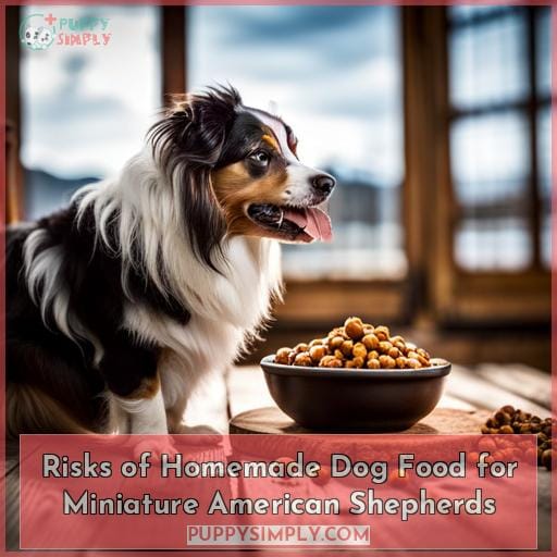 Risks of Homemade Dog Food for Miniature American Shepherds