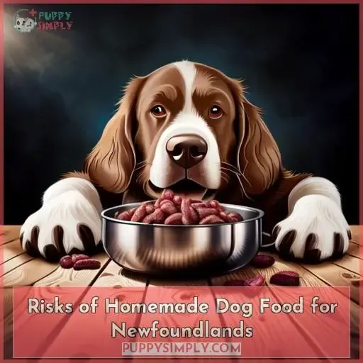 Risks of Homemade Dog Food for Newfoundlands