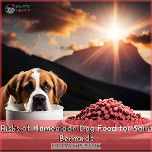 Risks of Homemade Dog Food for Saint Bernards
